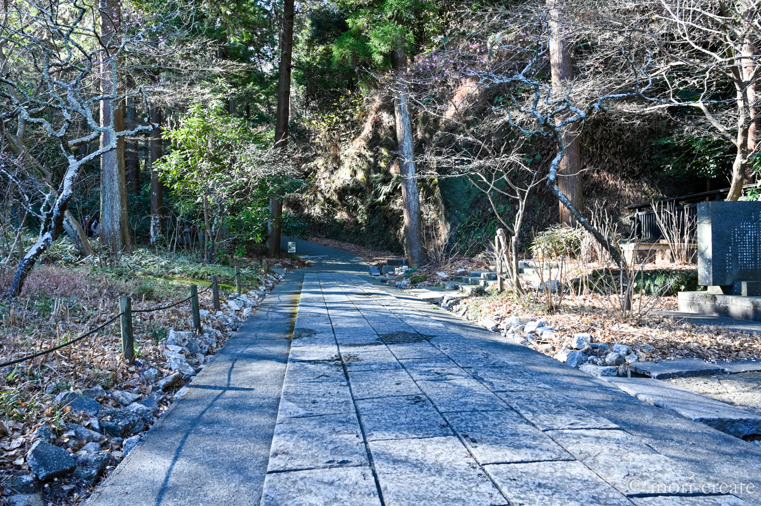 鎌倉東慶寺の冬の境内。人の管理と自然との共生を目指した「大地の再生」に取り組まれている。
