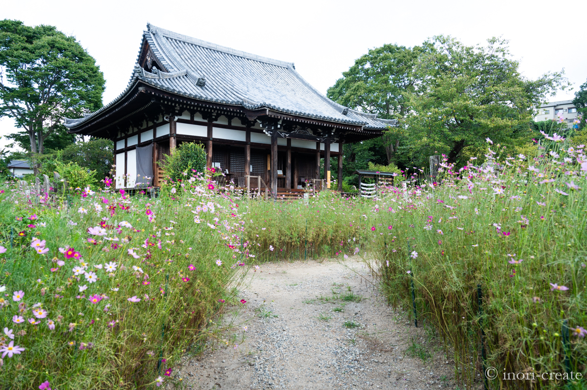 般若寺の本堂