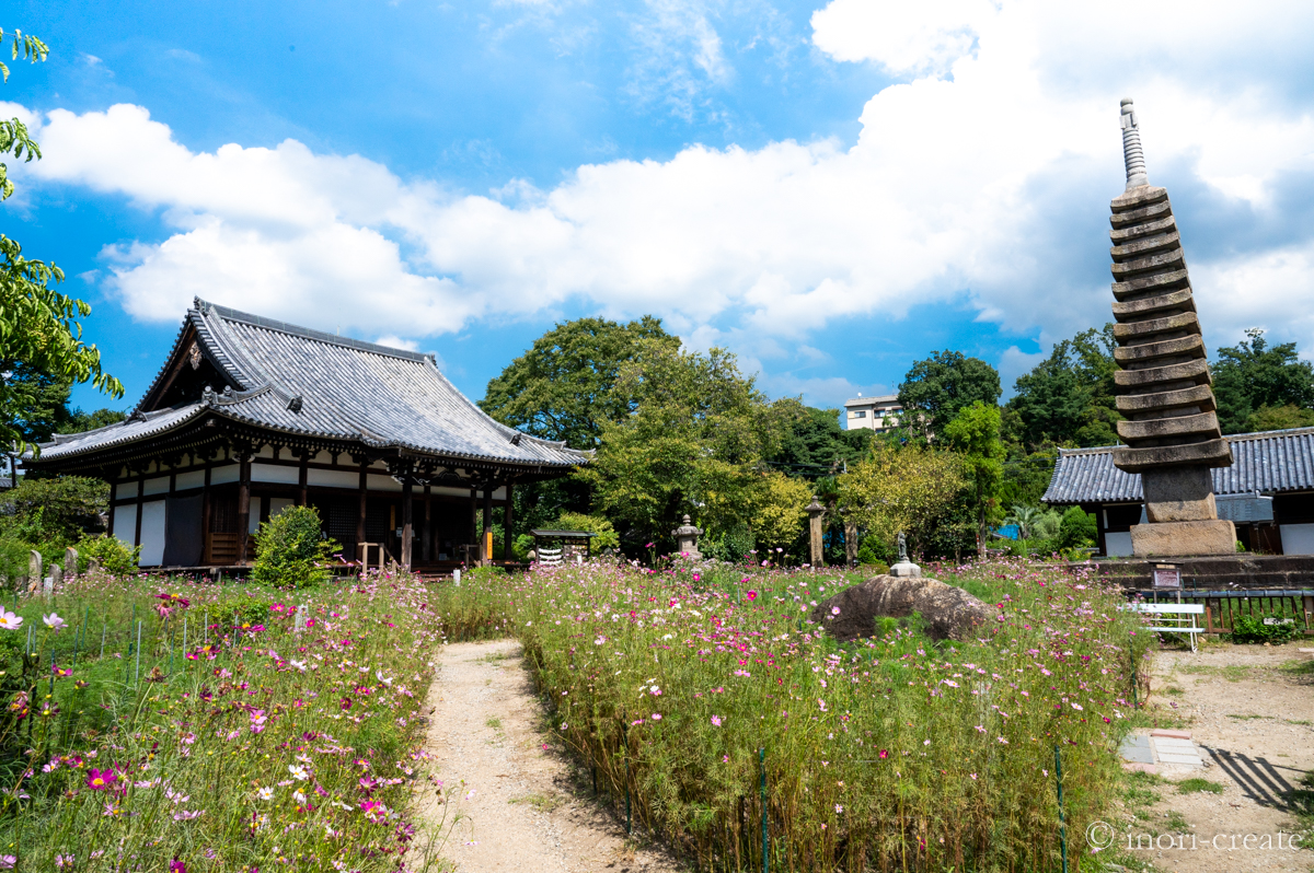 般若寺の本堂と十三重石塔